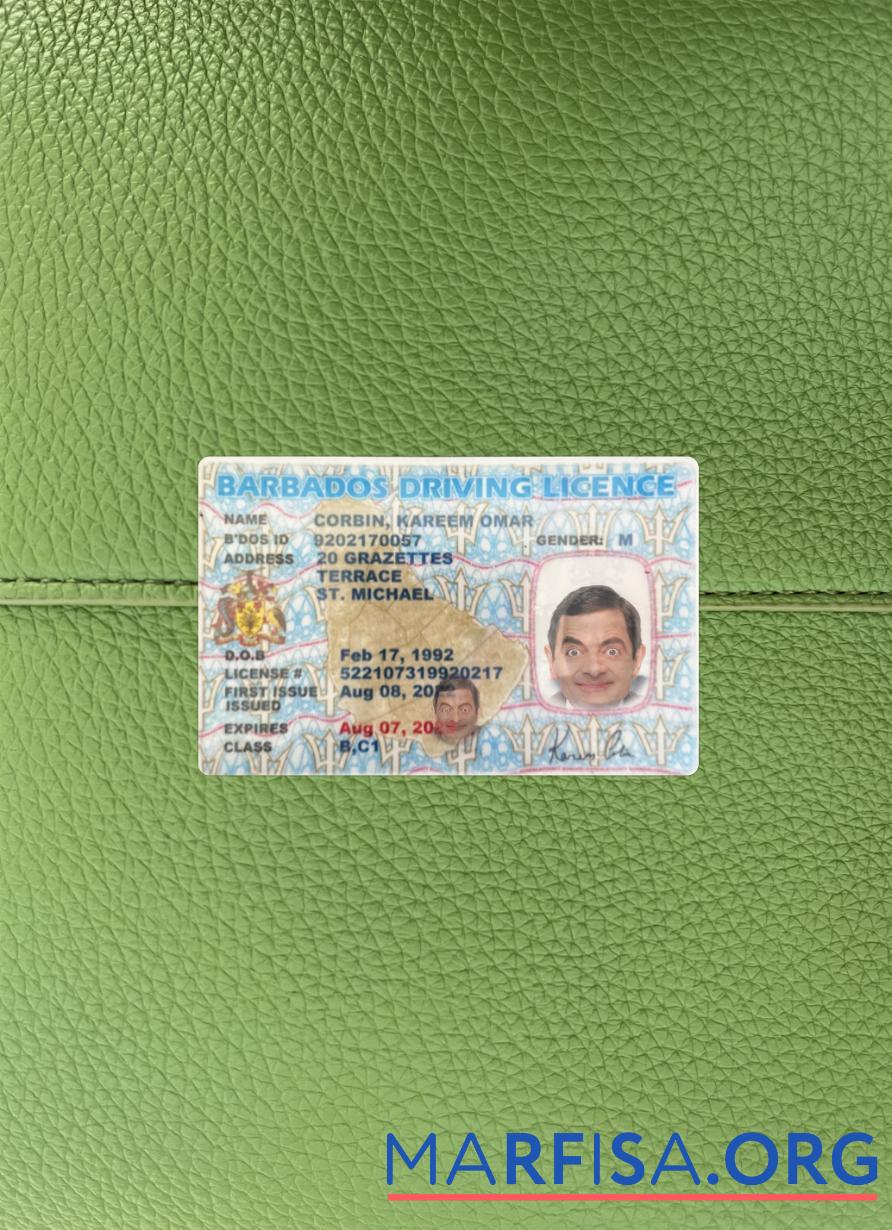 Blank Barbados driving license photolook sample